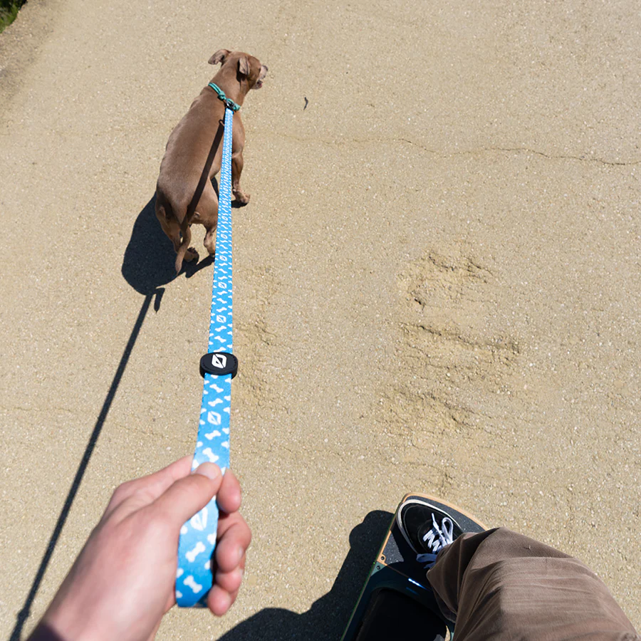 Onewheel Dog Leash - Image 4